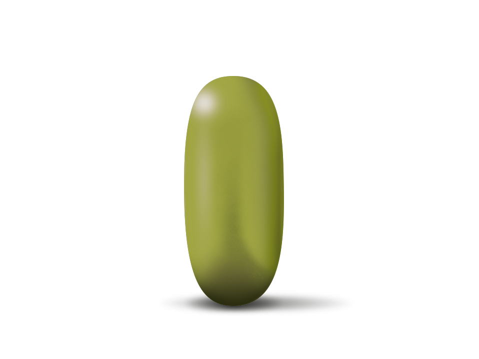 Orthomol Mental Tagesportion – 1 Kapsel Phospholipide + Coenzym Q₁₀