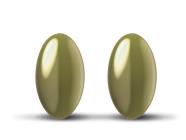 Orthomol i-CAre Tagesportion – 2 Kapseln Omega-3-Fettsäuren, Pflanzen-Extrakte