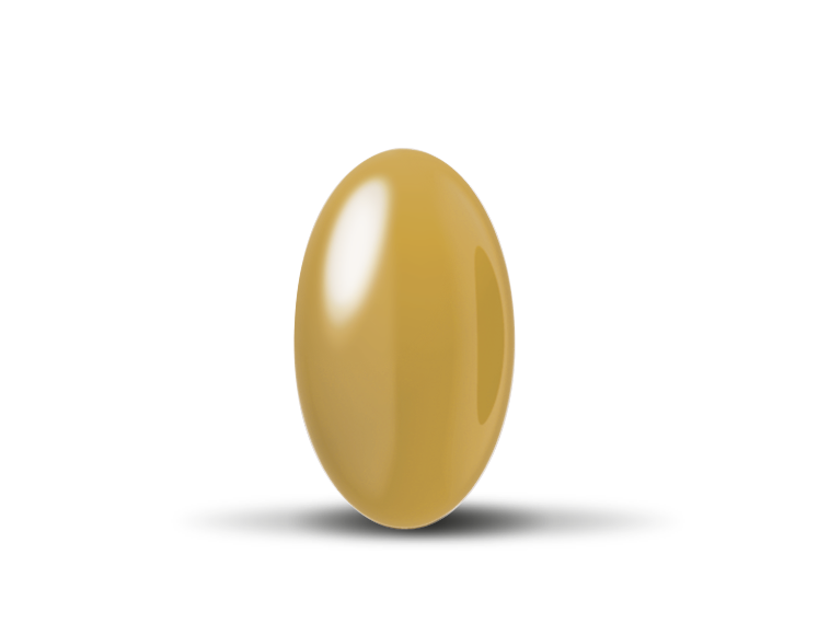 Orthomol Mental Tagesportion – 1 Kapsel Omega-3-Fettsäuren, Pflanzenextrakt