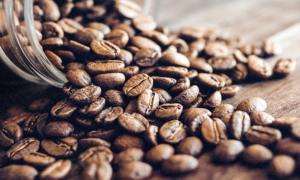 Koffein