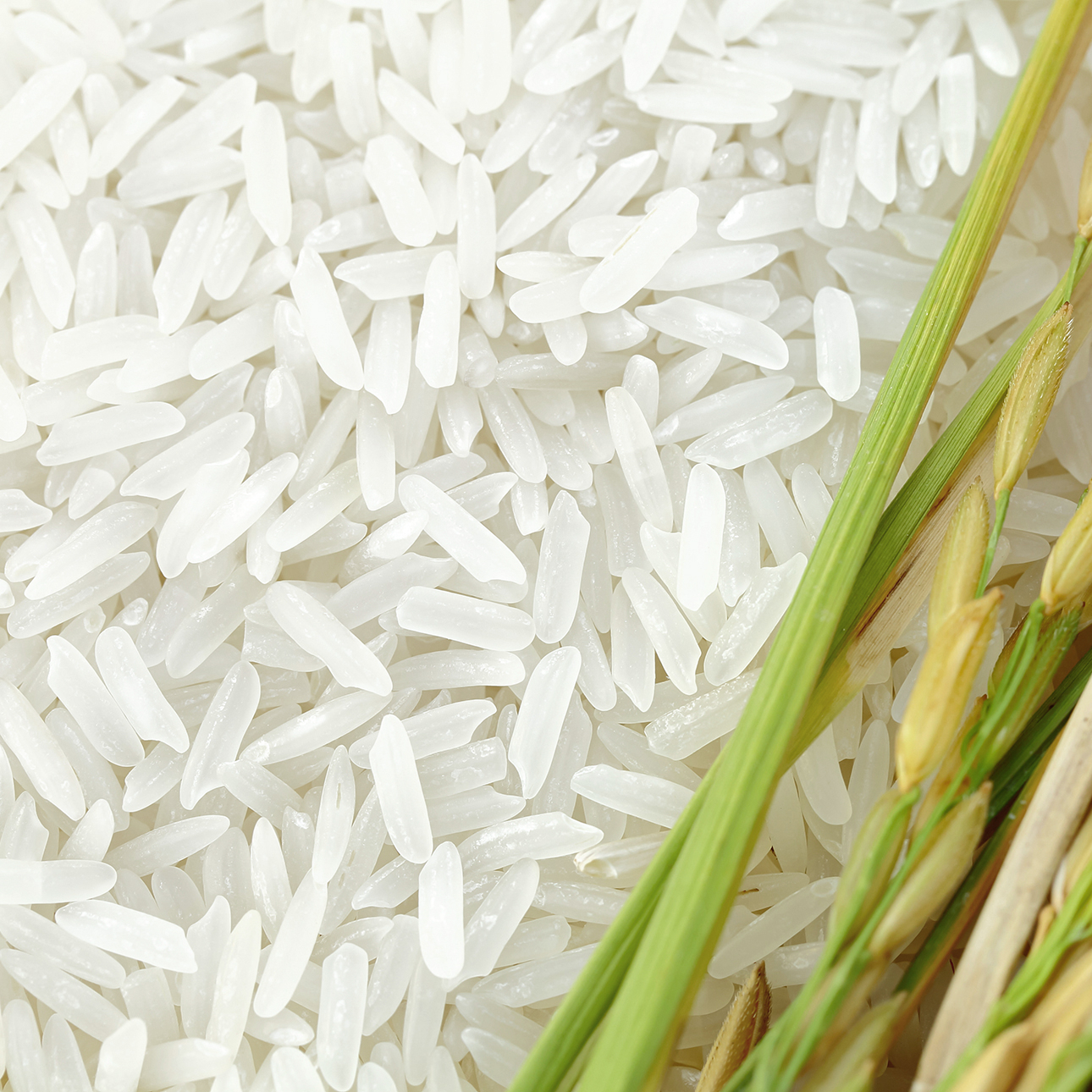 Biotin (Vitamin B7): das Schönheitsvitamin