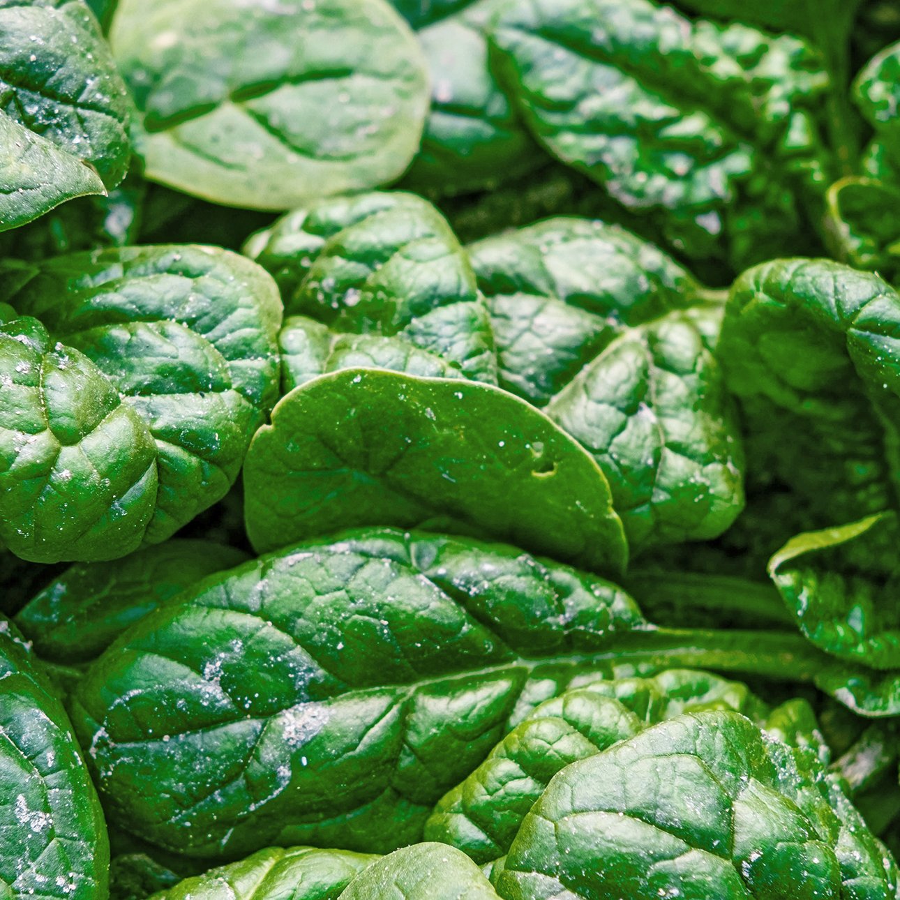 Folsäure (Vitamin B9) Lebensmittel: Top 10 Quellen, Tabelle & Tipps