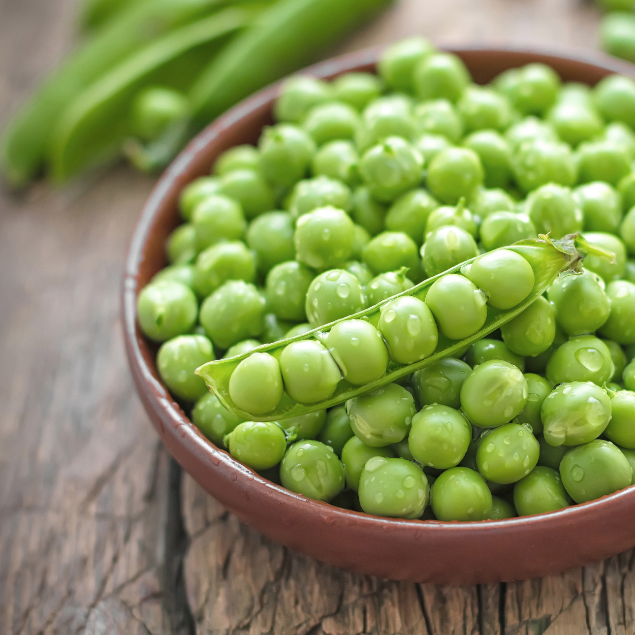 Spring Erbse Folsäure (Vitamin B9): Aufgaben, Tagesbedarf und Mangel