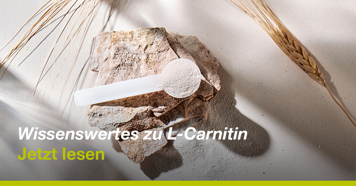 L-Carnitin fr die Muskeln L-Carnitin fr die Muskeln