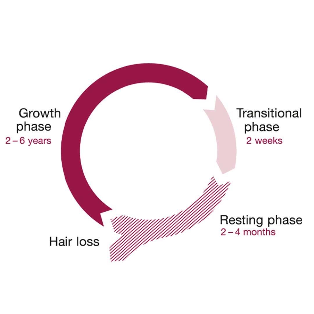 Orthomol Hair Intense